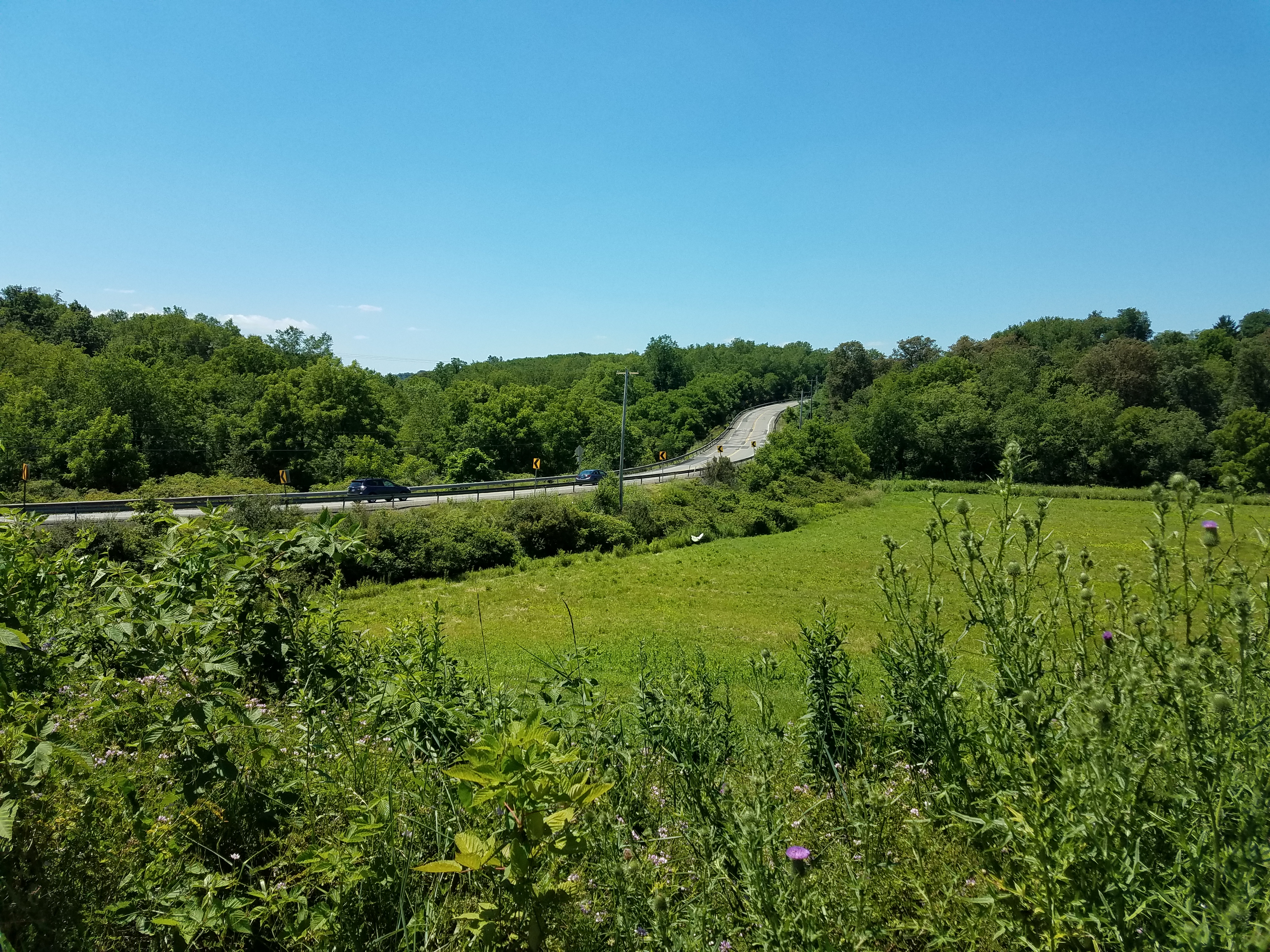 Balls Bend from a far distance